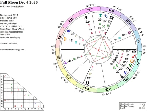 Gemini Full Moon 2025:  Twisting and Turning, a Crash Course in Adaptability